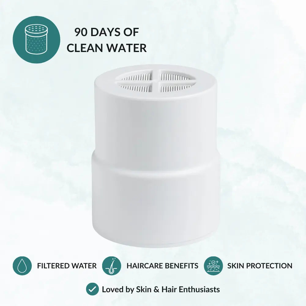 The Replacement Filter PUREWAVE